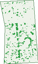 Where the trees are in Broadview