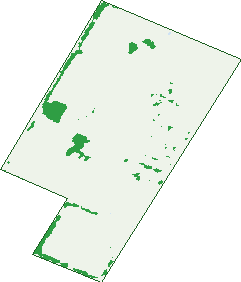 Where the trees are in Eyre