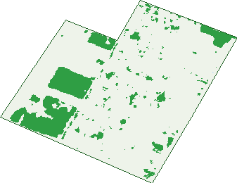 Where the trees are in Munno Para West