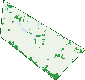 Where the trees are in St Clair