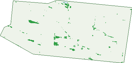 Where the trees are in Kangaroo Flat