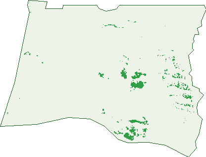 Where the trees are in Mayfield