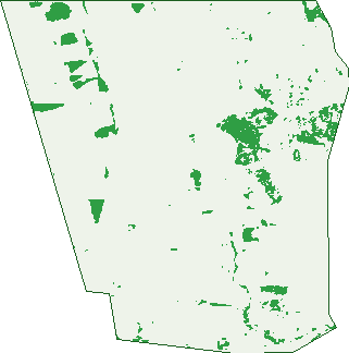 Where the trees are in Peep Hill