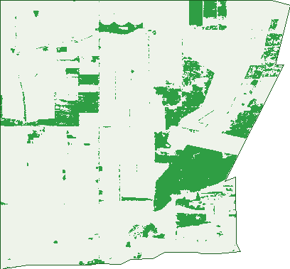 Where the trees are in Woolpunda