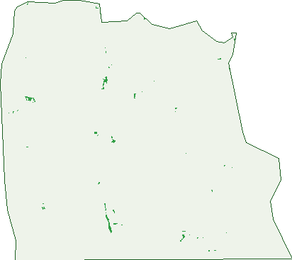 Where the trees are in Andrews