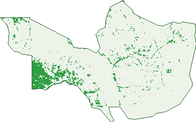 Where the trees are in Bangor