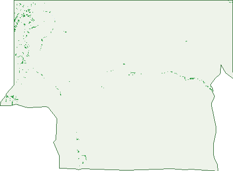 Where the trees are in Willochra