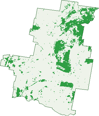Where the trees are in Caloola