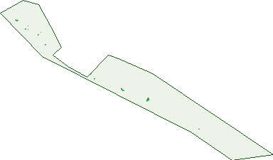 Where the trees are in Thompson Beach