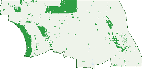 Where the trees are in Mount Benson