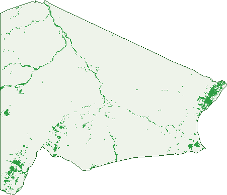 Where the trees are in Carrieton