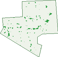Where the trees are in Pennington