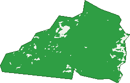 Where the trees are in Cherryville