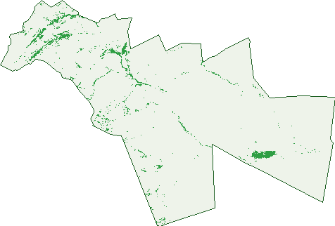 Where the trees are in Holowiliena South