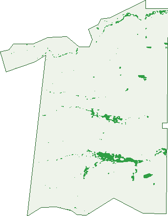 Where the trees are in Towitta