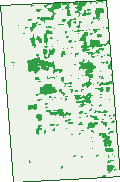 Where the trees are in Melrose Park
