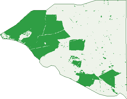 Where the trees are in Kongorong