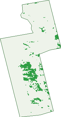 Where the trees are in Benbournie