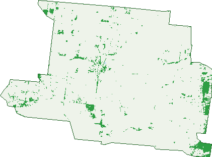Where the trees are in Riverton