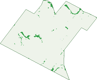 Where the trees are in St Johns