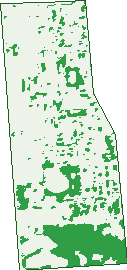 Where the trees are in St Marys