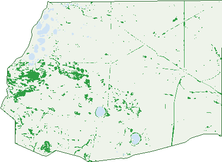 Where the trees are in Cummins