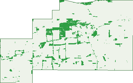 Where the trees are in Kanni