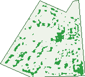 Where the trees are in Elizabeth Grove