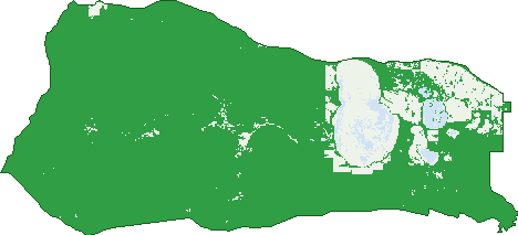 Where the trees are in Lake Muir
