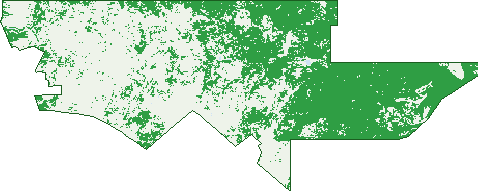 Where the trees are in Buraminya