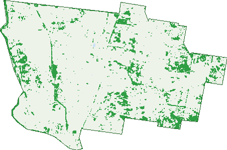 Where the trees are in Galambine