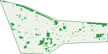 Where the trees are in Westminster