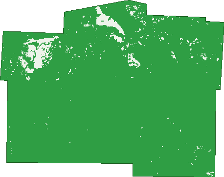 Where the trees are in Malmalling