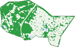 Where the trees are in Cecil Hills