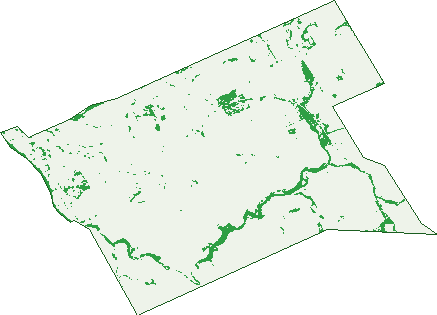 Where the trees are in Mount Hardey