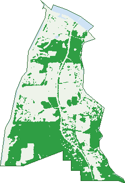 Where the trees are in Dawesville