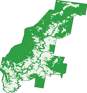 Where the trees are in Lynchs Creek