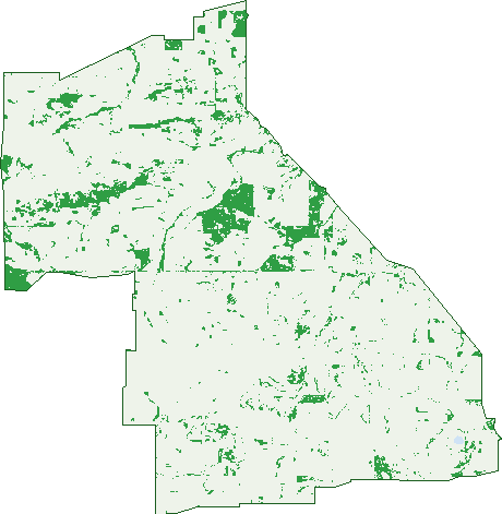Where the trees are in Boundain