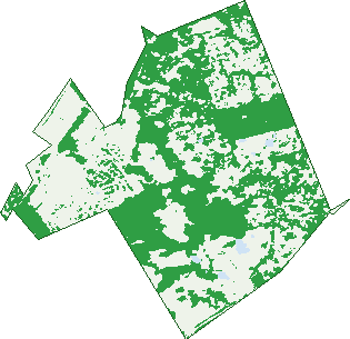 Where the trees are in Denham Court