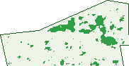 Where the trees are in Victory Heights