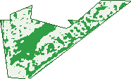 Where the trees are in Daglish