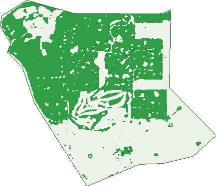 Where the trees are in Carramar