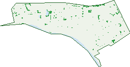 Where the trees are in Safety Bay