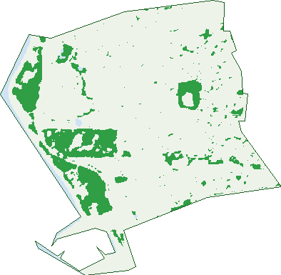 Where the trees are in Hillarys