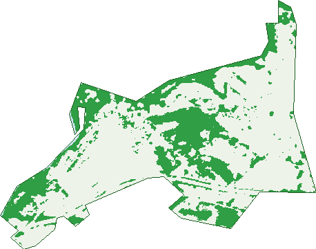 Where the trees are in South Guildford