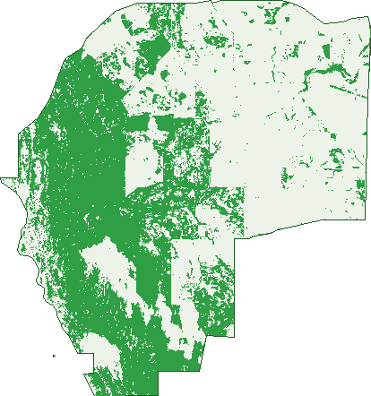 Where the trees are in Nambung