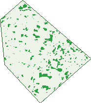 Where the trees are in Lathlain