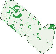 Where the trees are in Brookdale