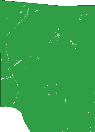 Where the trees are in Bindoon Training Area