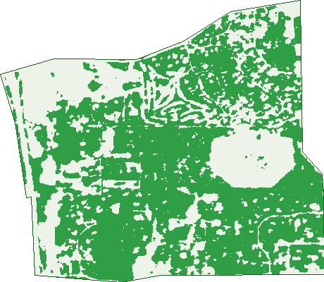 Where the trees are in Casuarina